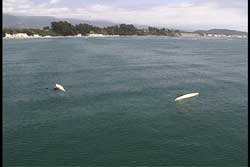 two capsized kayakers swimming their kayaks towards each other